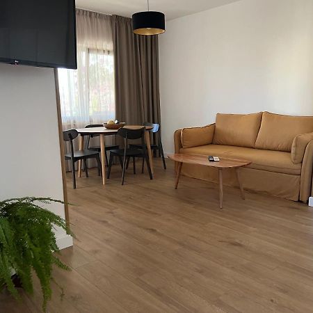 Paola Cozy Studio Rovinj Eksteriør bilde