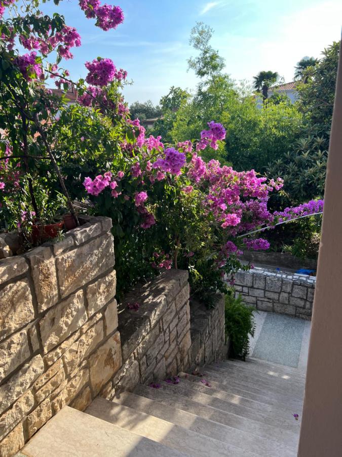Paola Cozy Studio Rovinj Eksteriør bilde